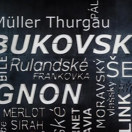 Апартаменты - Zdenek Bukovsky Pritluky